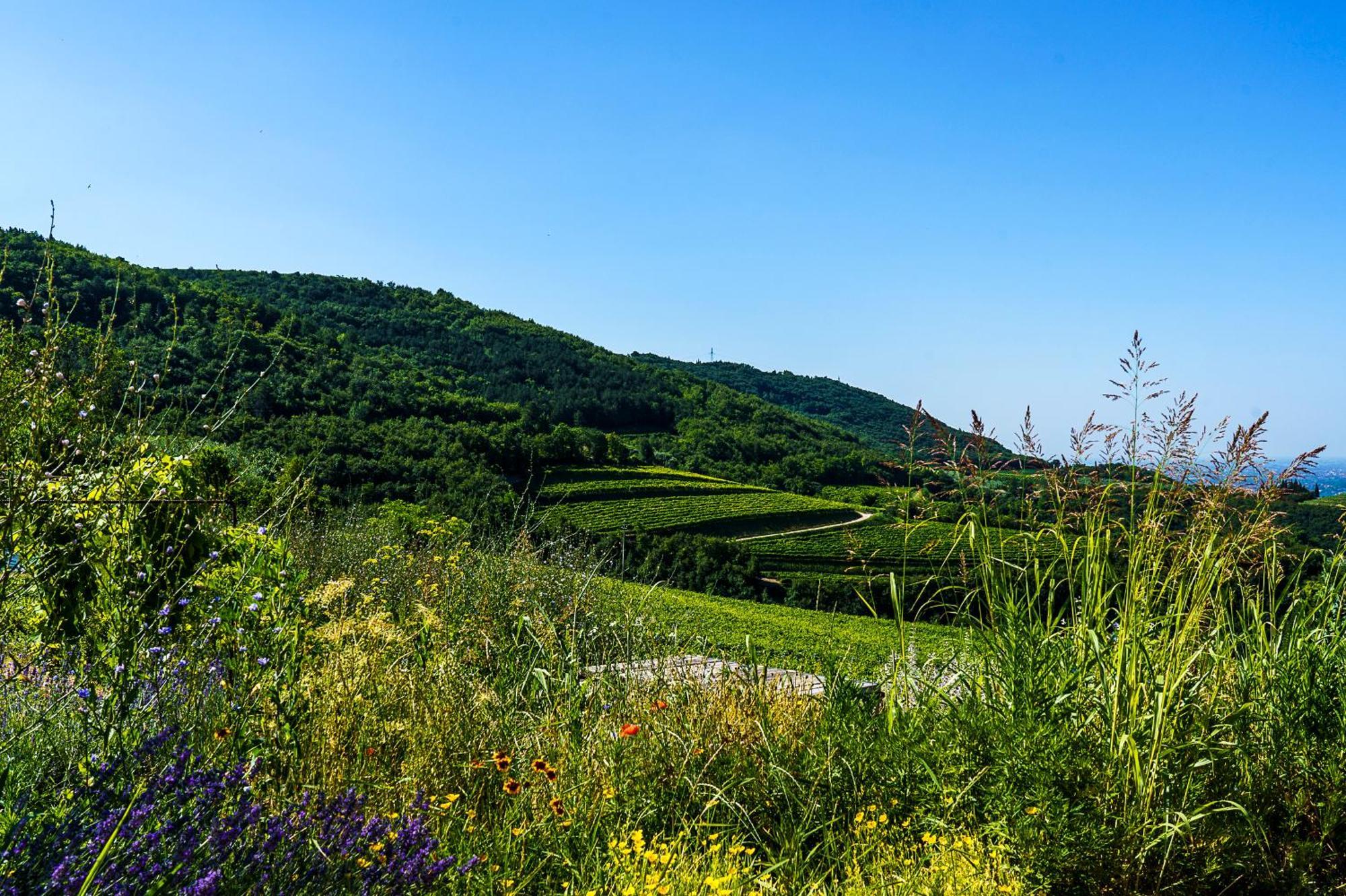 Hotel Balis Crema Verona Hills (adults Only)